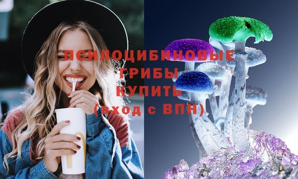 амф Алексин