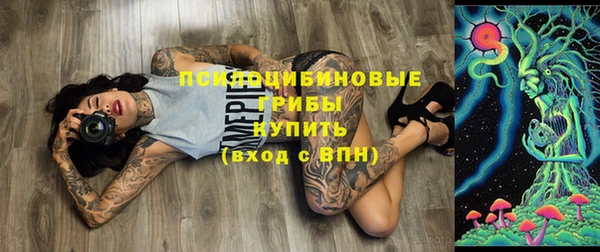 стаф Алексеевка