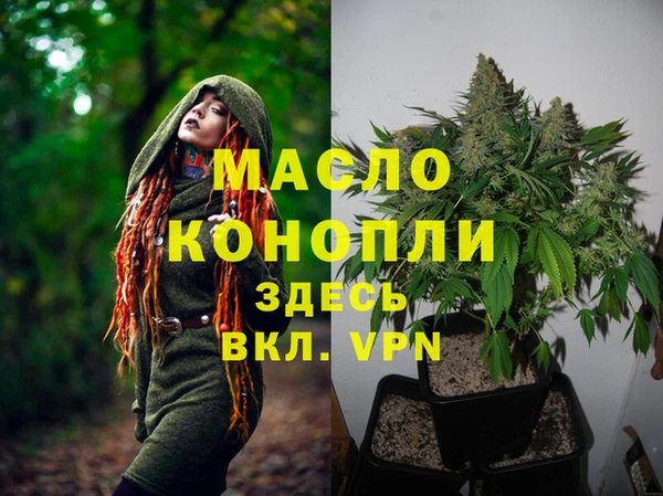 амф Алексин
