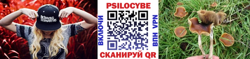 Псилоцибиновые грибы Psilocybine cubensis  МЕГА маркетплейс  Вихоревка  купить наркотики цена 